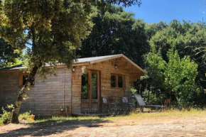 Ma petite cabane à la Roque sur Ceze